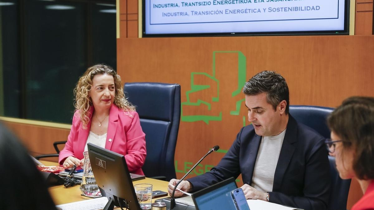 Jauregi ha comparecido ante la Comisión de Industria, Transición energética y Sostenibilidad