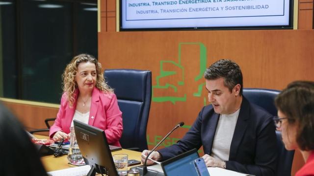 Jauregi ha comparecido ante la Comisión de Industria, Transición energética y Sostenibilidad