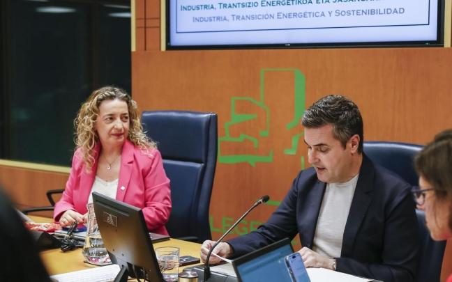 Jauregi ha comparecido ante la Comisión de Industria, Transición energética y Sostenibilidad