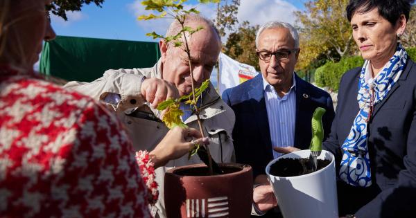 Inauguración del Bosque Olímpico de Pamplona. Fotos: Ayuntamiento de Pamplona