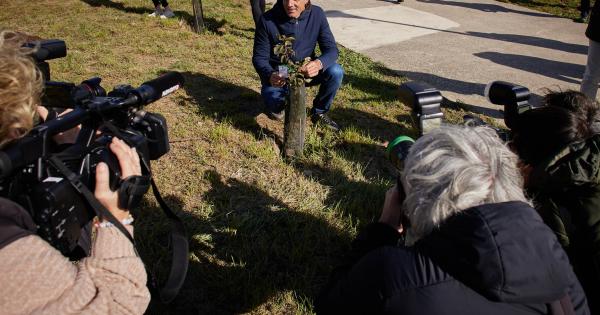 Inauguración del Bosque Olímpico de Pamplona. Fotos: Ayuntamiento de Pamplona