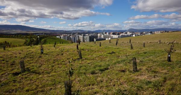 Inauguración del Bosque Olímpico de Pamplona. Fotos: Ayuntamiento de Pamplona
