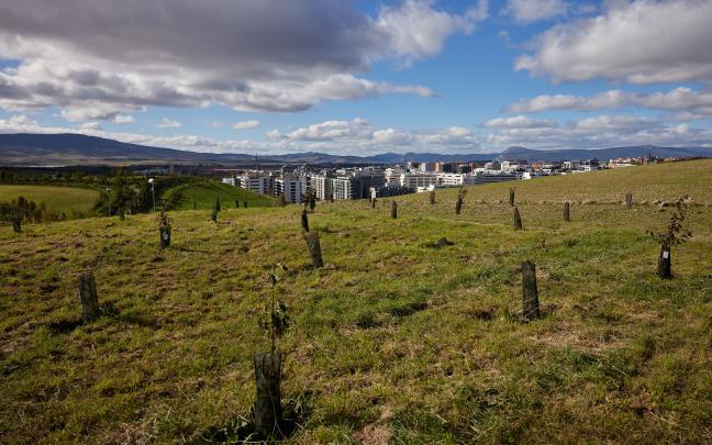 Inauguración del Bosque Olímpico de Pamplona. Fotos: Ayuntamiento de Pamplona