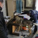 La operación Jauzilari continúa abierta y no se descartan nuevas detenciones | Ertzaintza