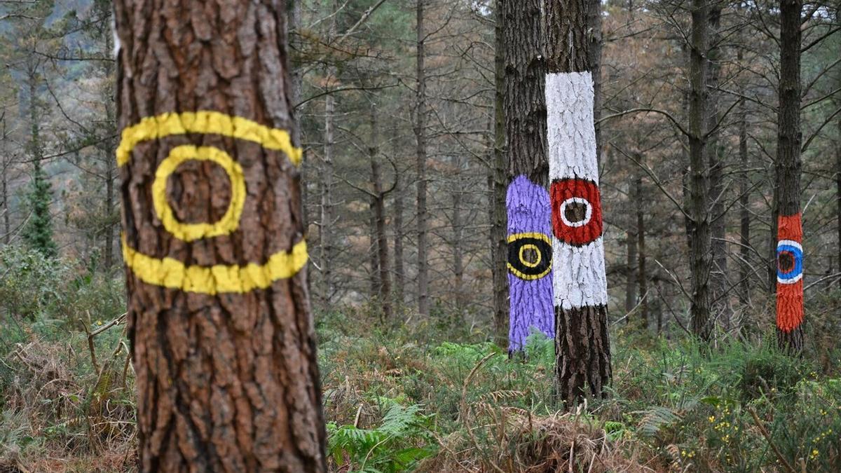 En imágenes: Así se vive una aventura en el Bosque de Oma