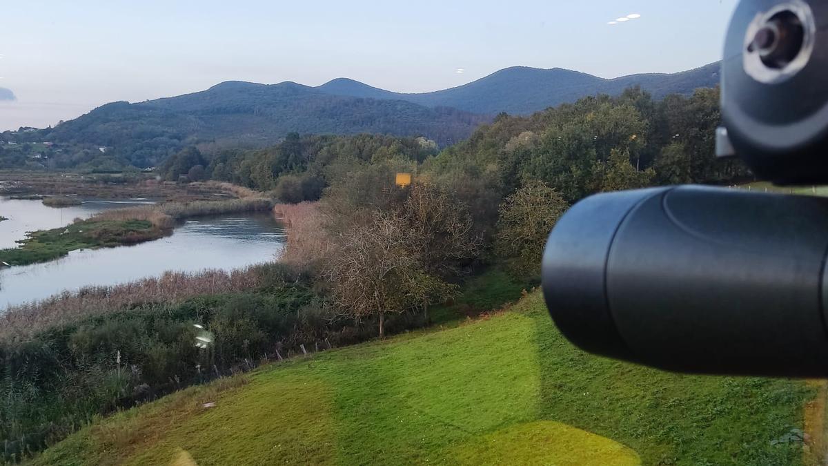 Urdaibai Bird Center conmemorará el próximo 1 de febrero el Día Mundial de los Humedales