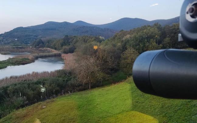 Urdaibai Bird Center conmemorará el próximo 1 de febrero el Día Mundial de los Humedales