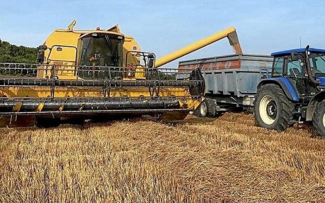 Una cosechadora descarga cereal en una finca alavesa.
