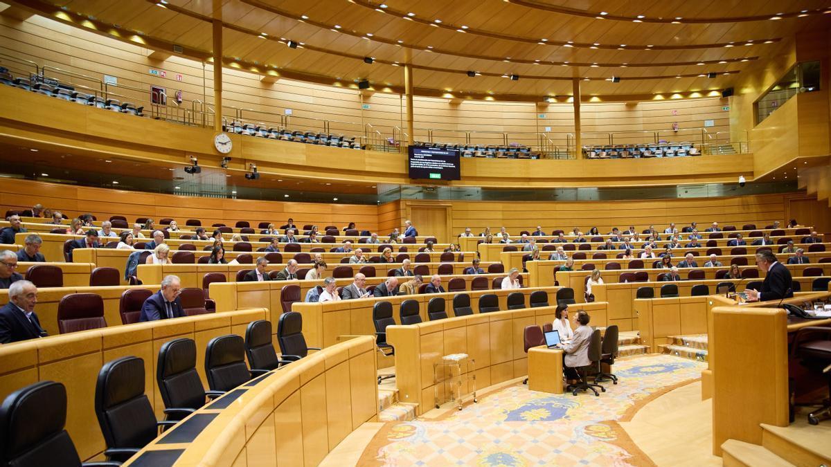 El Senado votará en contra de la reforma.