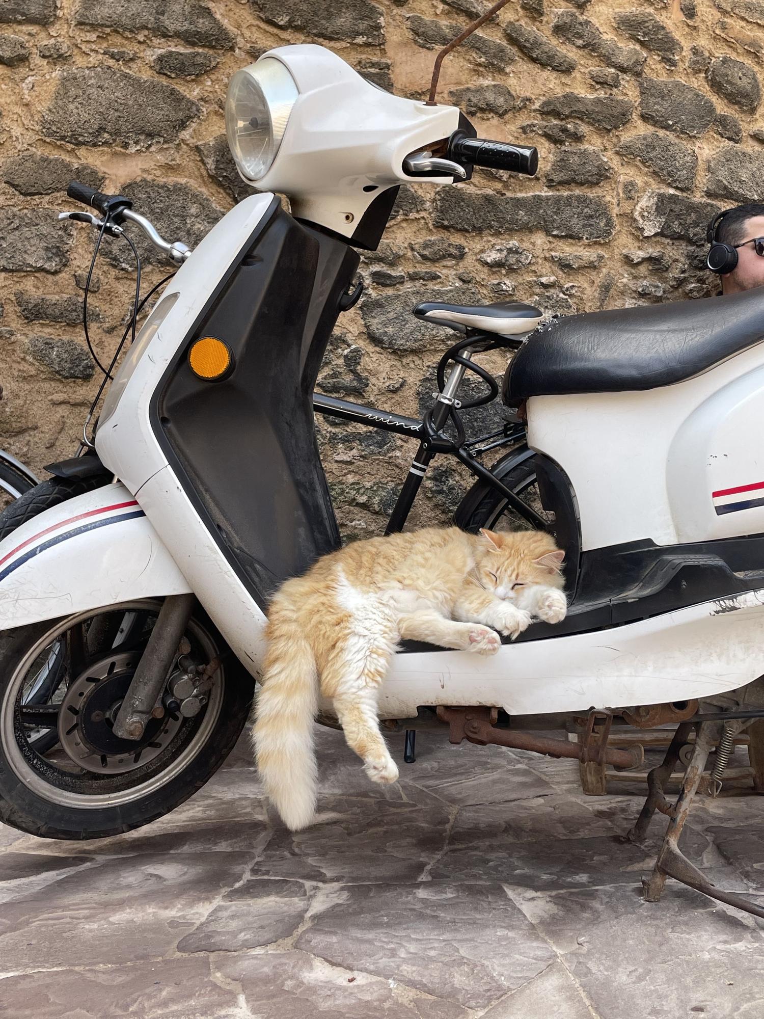 Descansando sobre una moto.