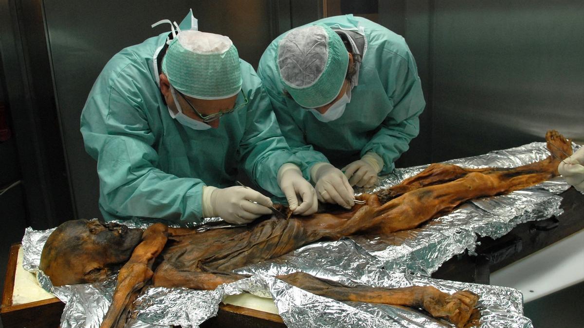 Los científicos están revelando continuamente nuevos hechos sobre el 'Homo sapiens' de los restos momificados de Ötzi