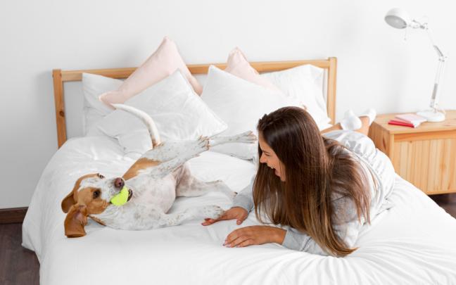 Un perro y su dueña en un hotel. FREEPIK Un perro y su dueña en un hotel. FREEPIK
