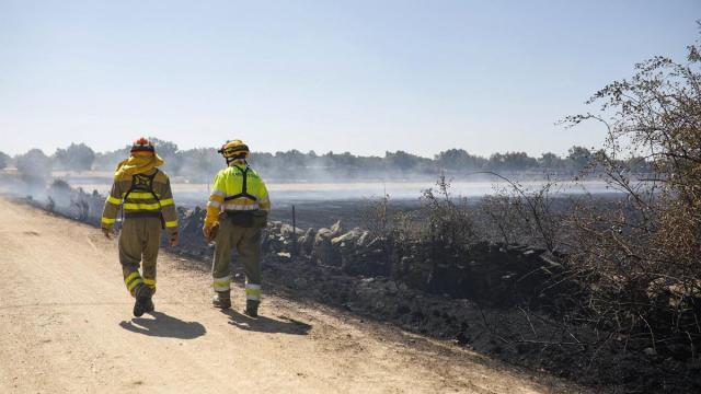 Dos bomberos trabajan en las labores de extinción de un incendio forestal en Zamora.