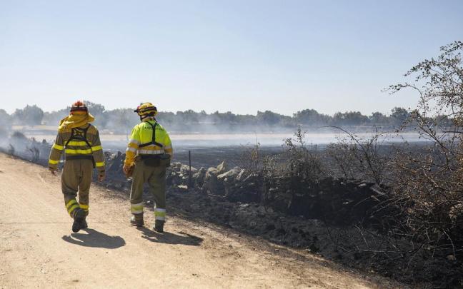 Dos bomberos trabajan en las labores de extinción de un incendio forestal en Zamora.