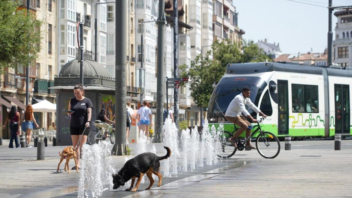 Un perro se refresca en Gasteiz durante la ola de calor.