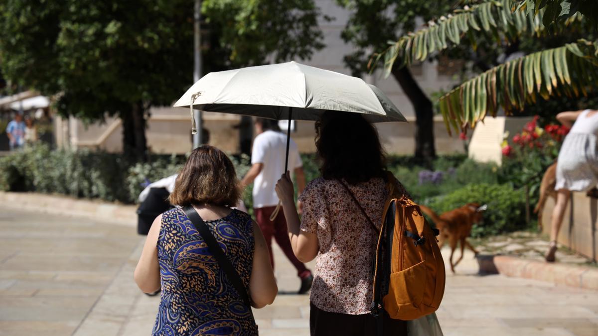 ¿Influye el calor en nuestro apetito?