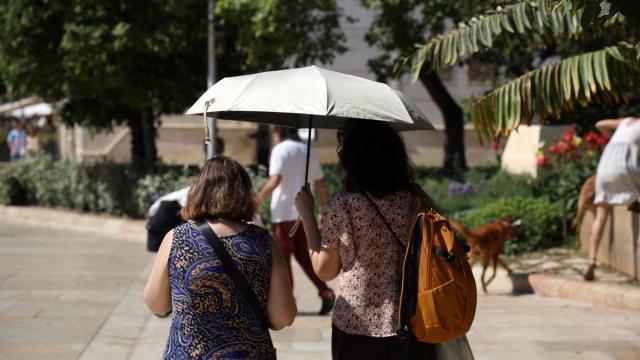 ¿Influye el calor en nuestro apetito?