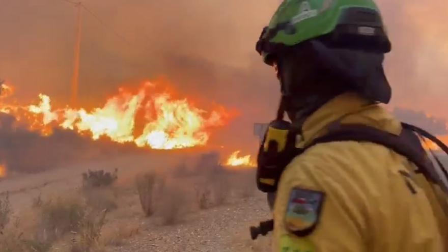 Un bombero forestal combate el incendio declarado en Los Gallardos (Almería).