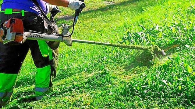 Uno de los programas es de jardinería. | FOTO. CEDIDA
