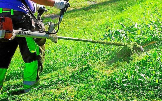Uno de los programas es de jardinería. | FOTO. CEDIDA