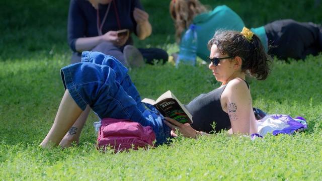 Una mujer lee un libro al sol en un parque.
