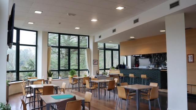 El periodo inicial de ejecución será del 6 de abril al 31 de diciembre de 2026