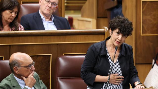 Maribel Vaquero durante su intervención en el Congreso de los Diputados