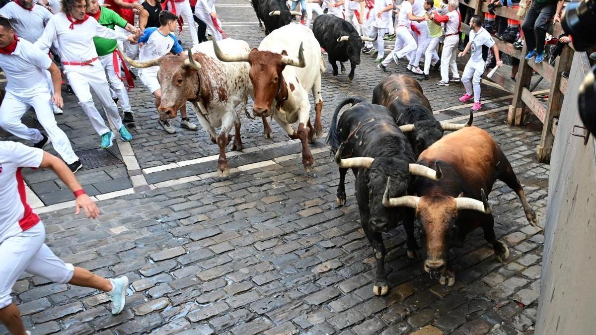 Los cabestros cierran a los toros bravos tomando la curva de Mercaderes por el interior. Foto: Iñaki Porto