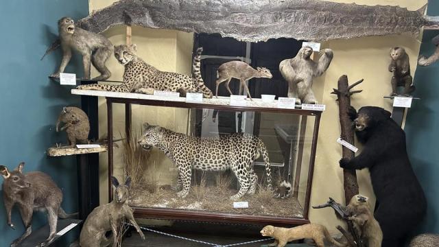 Nueva exposición temporal en Hontza Museoa