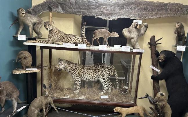 Nueva exposición temporal en Hontza Museoa