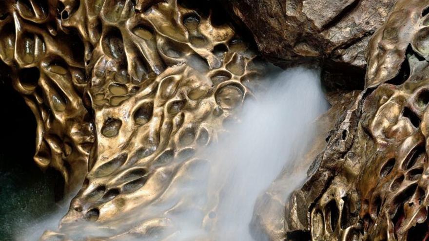 La fotografía premiada.