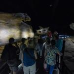 Recorrido guiado por el interior de la espectacular réplica de la cueva de Ekain en Ekainberri