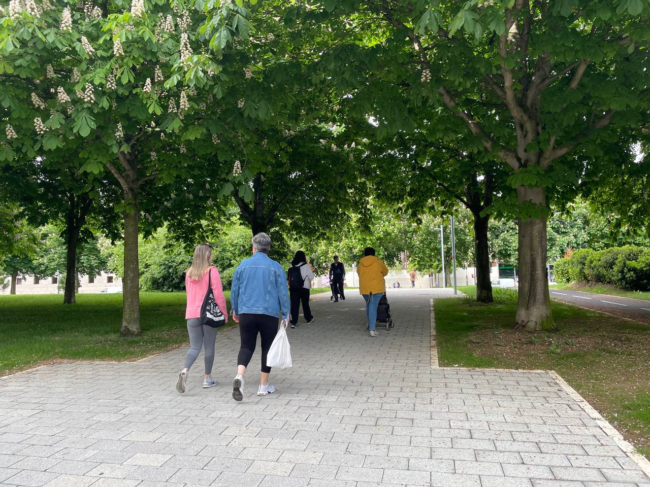 Una imagen del concejo de Arriaga. Foto: Ayuntamiento de Gasteiz