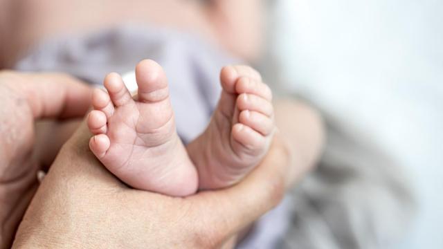 Los pies del bebé recién nacido en manos de mamá. Los pies del bebé recién nacido en manos de mamá.