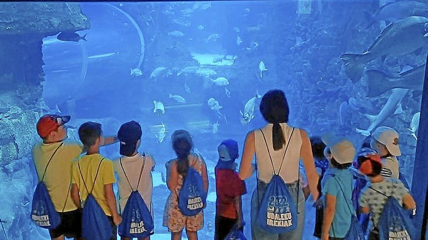 Un grupo de colonias, en el aquarium.