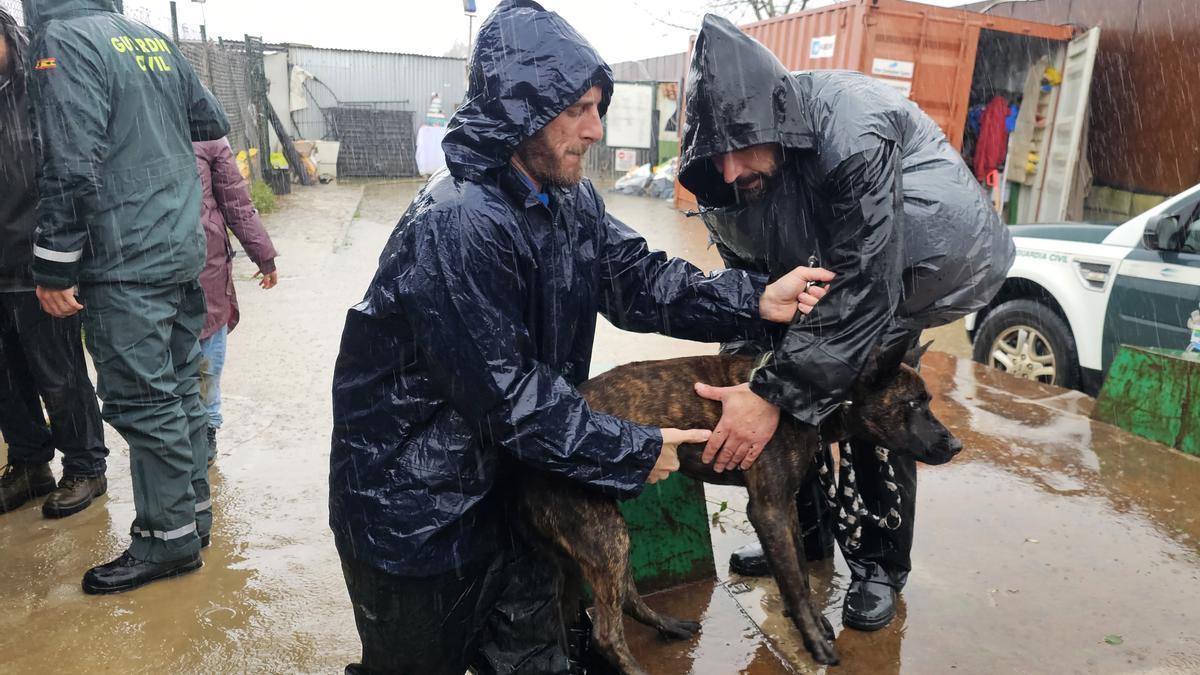 En imágenes: La borrasca Francis causa 59 incidencias en Andalucía con desbordamientos, incomunicaciones y rescates
