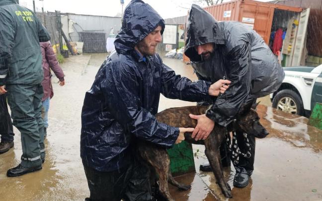 En imágenes: La borrasca Francis causa 59 incidencias en Andalucía con desbordamientos, incomunicaciones y rescates