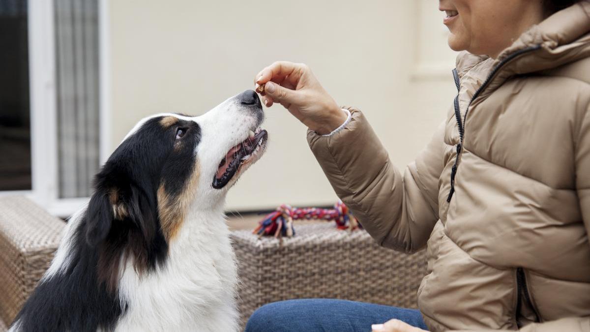 Mujer le da una pastilla a su perro.