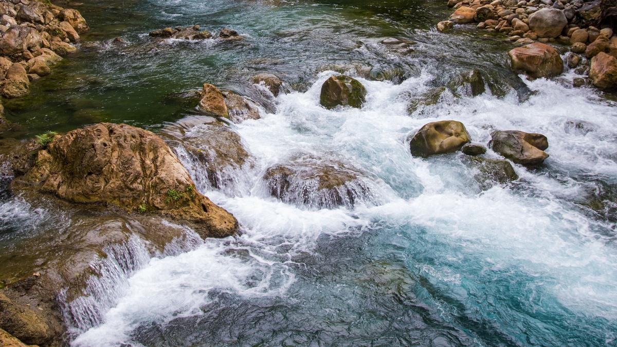 El compromiso con el medio ambiente se construye también desde lo cercano.