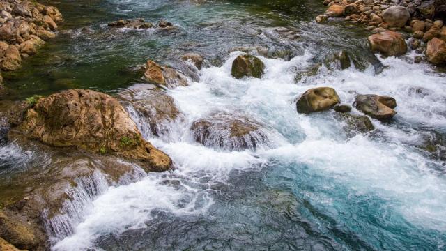 El compromiso con el medio ambiente se construye también desde lo cercano.
