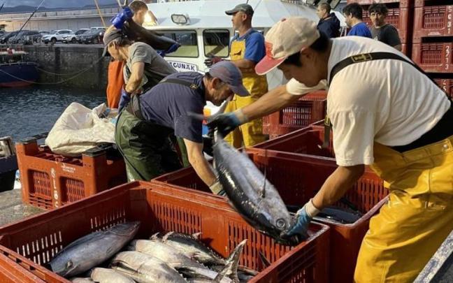 Destaca la actividad pesquera vasca y su contribución diaria al abastecimiento de millones de consumidores en todo el Estado
