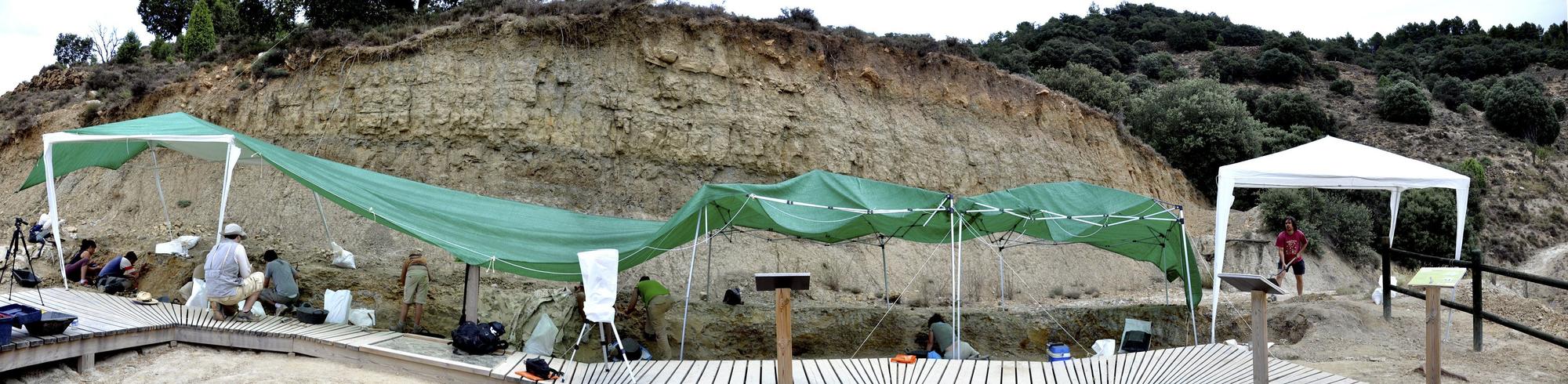 Un grupo de paleontólogos trabajan en el yacimiento de Cinctorres en el que han aparecido los restos fósiles del dinosaurio.