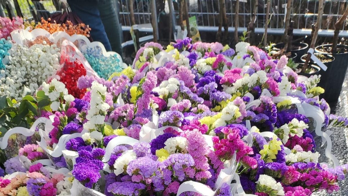 La feria tendrá lugar el 14 de febrero.