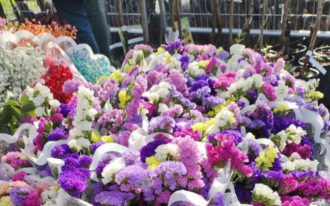 La feria tendrá lugar el 14 de febrero.