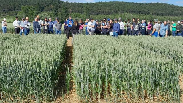 Finca experimental de Orkoien.