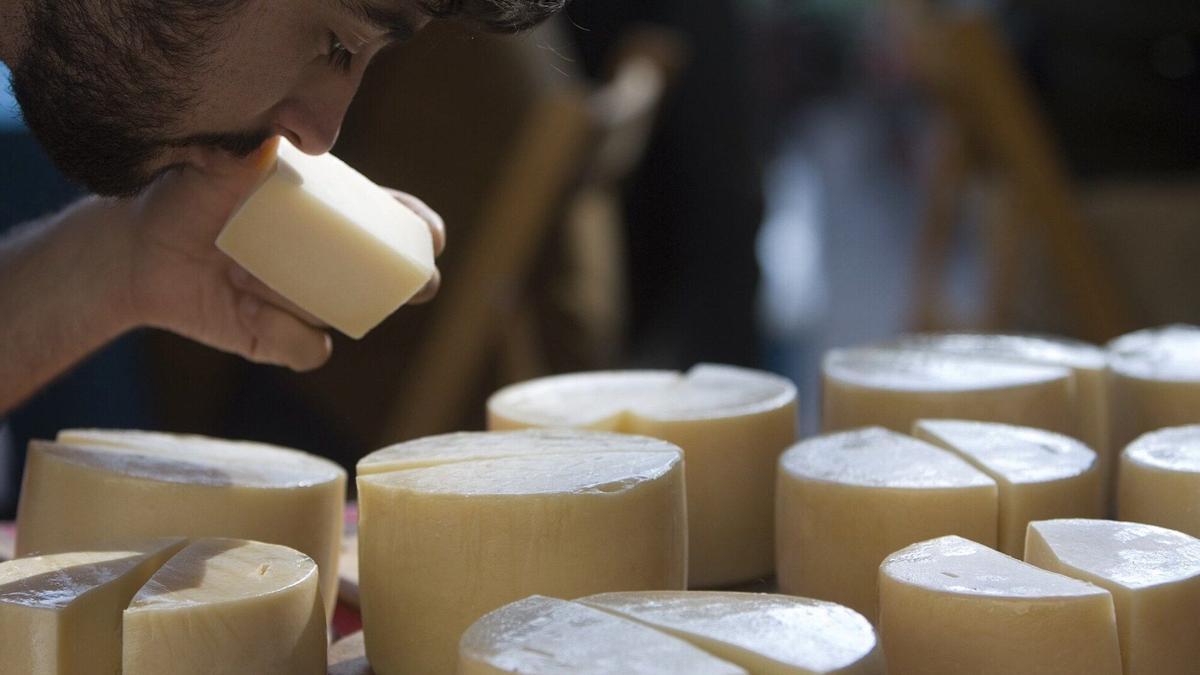 El aroma, clave en un concurso de queso Idiazabal.