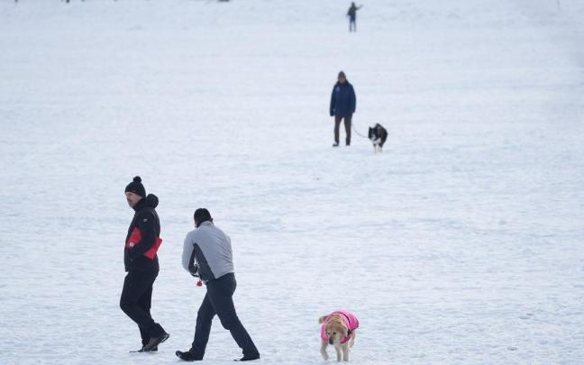 En imágenes: Los vitorianos disfrutan (y sufren) con la nieve En imágenes: Los vitorianos disfrutan (y sufren) con la nieve