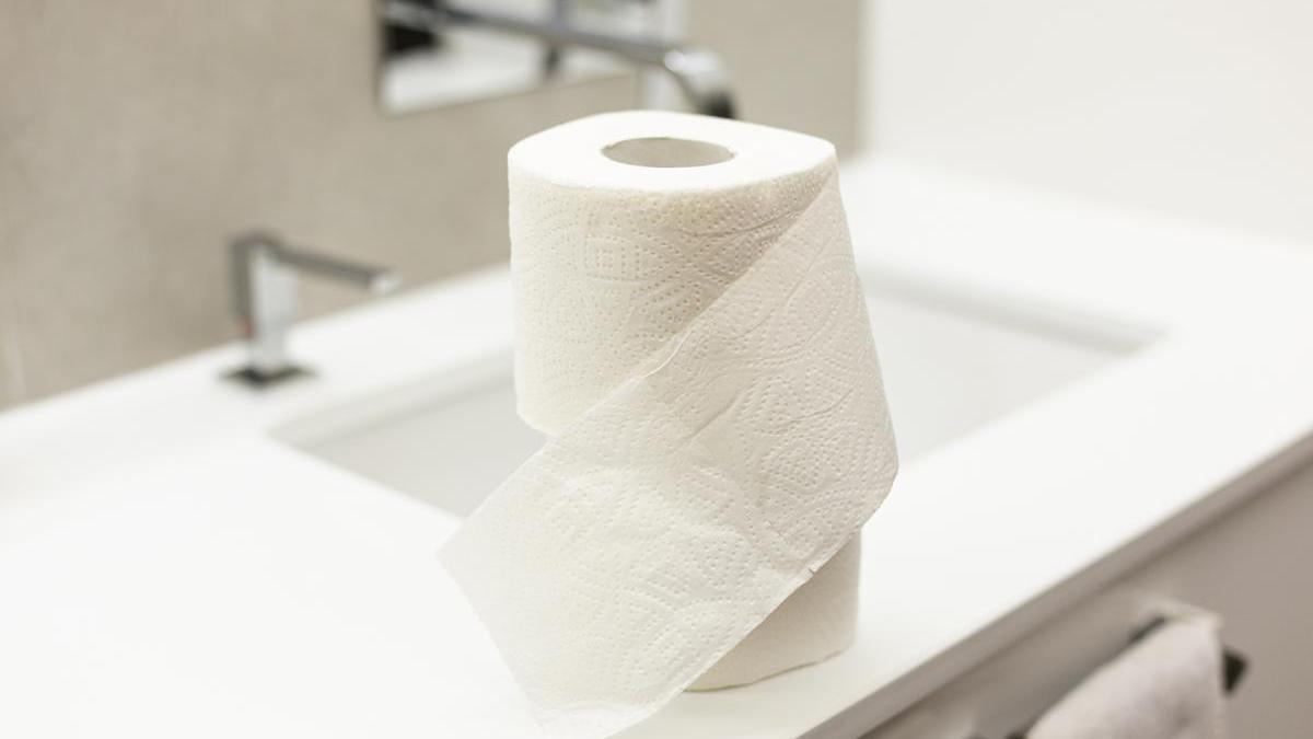 Rollos de papel higiénico.