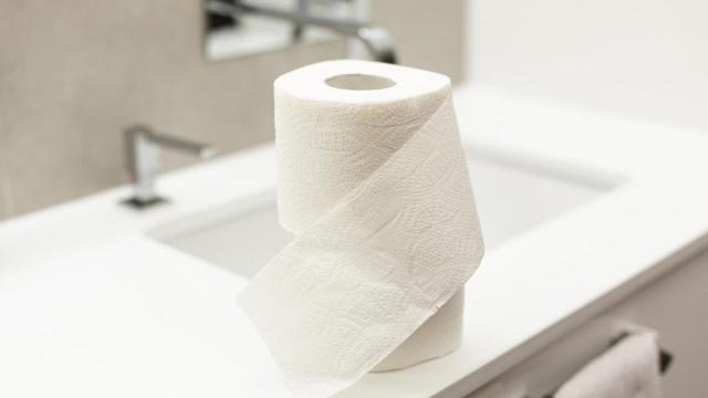 Rollos de papel higiénico.
