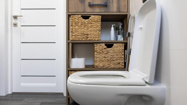 Imagen de un inodoro en el baño de una vivienda
